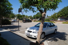 Enlarge photo 2