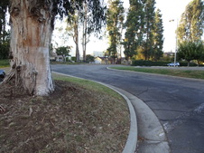 Enlarge photo 32