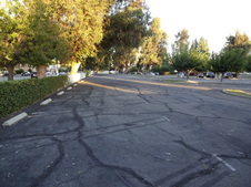 Enlarge photo 49