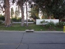 Enlarge photo 73