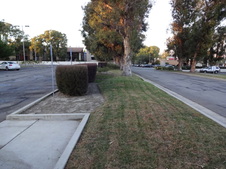 Enlarge photo 81