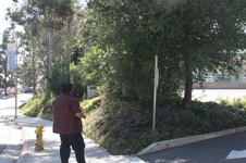 Enlarge photo 49