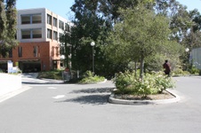 Enlarge photo 45