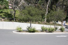 Enlarge photo 44