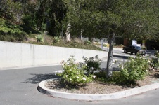 Enlarge photo 40