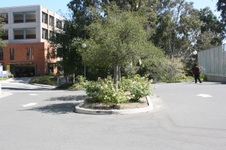 Enlarge photo 41