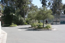 Enlarge photo 43