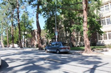 Enlarge photo 80