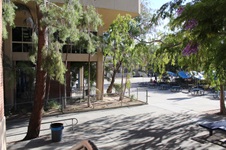 Enlarge photo 74
