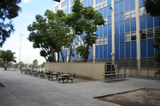 Enlarge photo 47