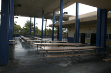 Enlarge photo 61