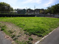 Enlarge photo 58