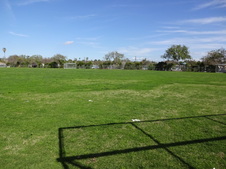 Enlarge photo 65