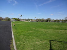 Enlarge photo 66