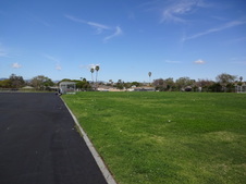 Enlarge photo 81