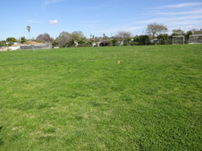 Enlarge photo 82