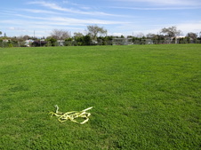 Enlarge photo 86