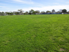Enlarge photo 87