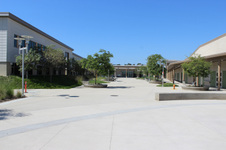 Enlarge photo 57