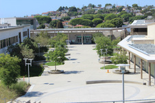 Enlarge photo 74