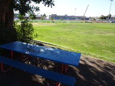 Enlarge photo 129