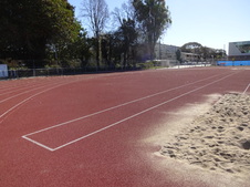 Enlarge photo 135