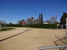 Enlarge photo 156