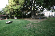 Enlarge photo 103