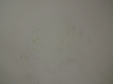 Enlarge photo 54