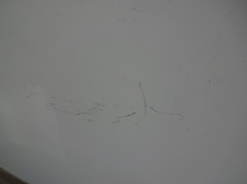 Enlarge photo 55
