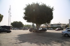 Enlarge photo 20