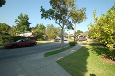2050 Delarosa