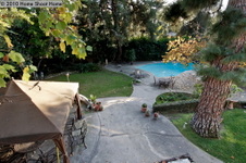 Enlarge photo 36