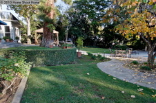 Enlarge photo 33