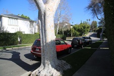 Enlarge photo 30