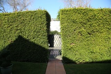 Enlarge photo 90