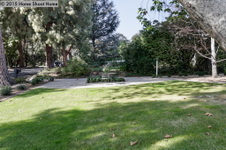Enlarge photo 43