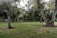 Enlarge photo 38