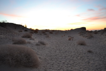 Enlarge photo 13