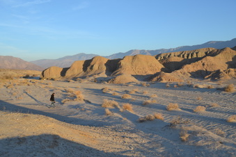 Enlarge photo 28