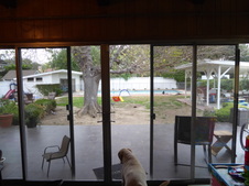 Enlarge photo 54