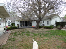 Enlarge photo 59