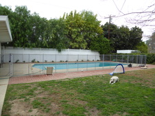 Enlarge photo 61