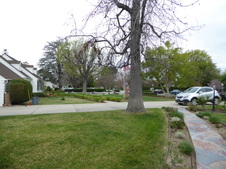 Enlarge photo 67