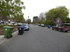 Enlarge photo 73