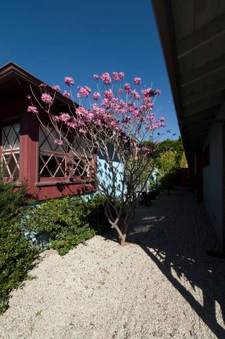 Enlarge photo 69
