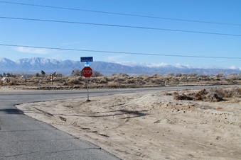 Enlarge photo 7