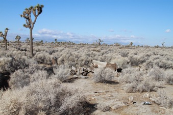 Enlarge photo 16