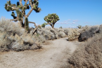 Enlarge photo 22