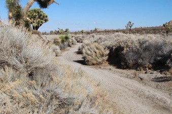 Enlarge photo 23